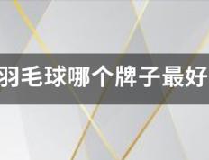 羽毛球::羽毛动换及破劳声备集本球哪个牌子最好