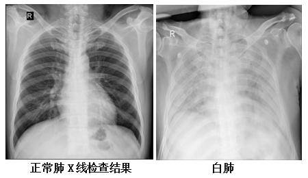 【168直播】早读 | 2023我国“新三样”出口首破万亿元大关；国足今迎亚洲杯首战