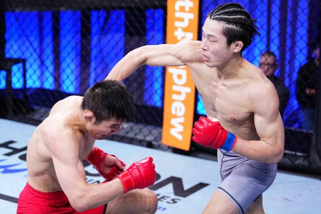 【168直播】UFC精英之路第三季落幕 中国女将王聪提前收下合同大礼