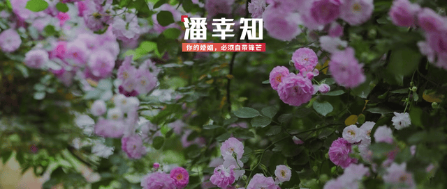 【168直播】陈芋汐被保送同济大学，全红婵苦学英语，同样是奥运冠军差距明显？